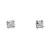 14k White Gold Cubic Cassidy Earrings