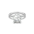 14K White Gold Palmina Round Hidden Halo Engagement Ring -