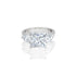 18k White Gold Princess & Pear Accent Engagement Ring