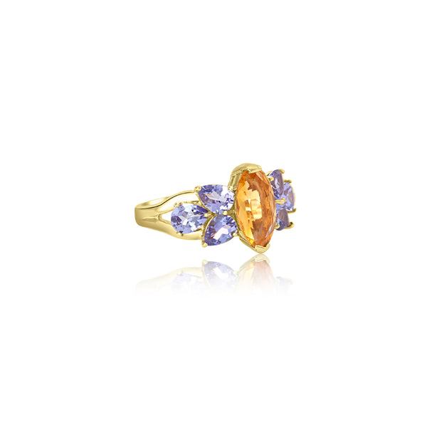 Fatia Tanzanite Ring