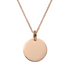 files/gold-disc-necklace-rose-small-charms-pendants-225.png