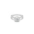Macie Solitaire - Rings